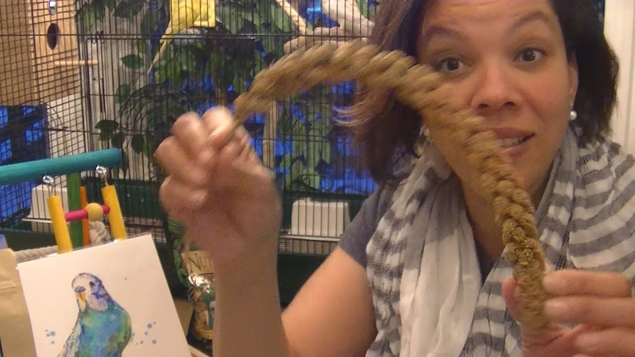 petsmart bird playground