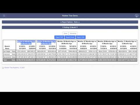 Creating Rolling 12 Month Report in WebQuery