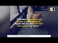 This hen in China loves eating iron screws