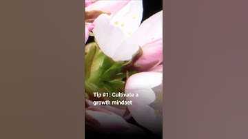 How to Build Resilience: Tips for Overcoming Adversity | Boost Your Mental Toughness