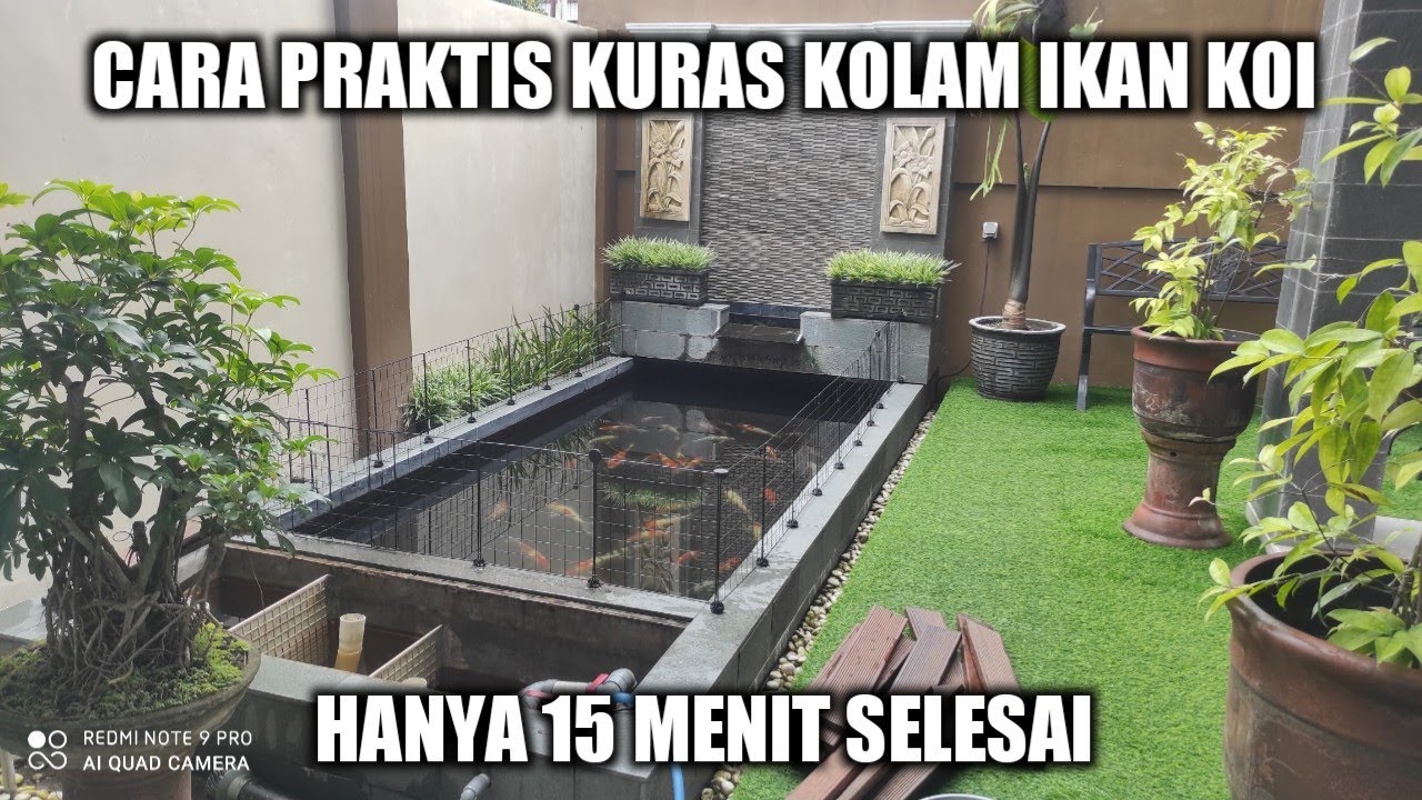 CARA PRAKTIS KURAS KOLAM IKAN KOI