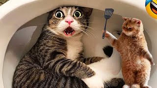 New Funny Animals  Funniest Cats and Dogs Videos 2024 Try Not To Laugh #82