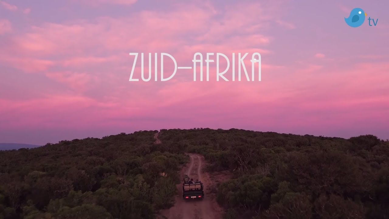 afl.2 Rondreis ZuidAfrika De Blauwe Vogel TV YouTube afl.2 Rondreis ZuidAfrika De Blauwe Vogel TV YouTube