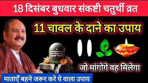 18 दिसंबर पौषमास बुधवार संकष्टी चतुर्थी व्रत को 11 चावल दाने वाला उपाय जरूर करे || Pradeep Ji Mishra