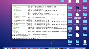 How to uninstall composer | how to remove composer from your system