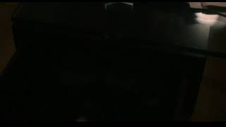 The Orphan: First Kill - Plot Twist