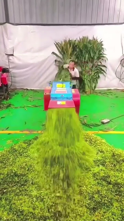 Chara Cutter machine, Chaff cutter machine , Toka machine WhatsApp me 91 78691 22046