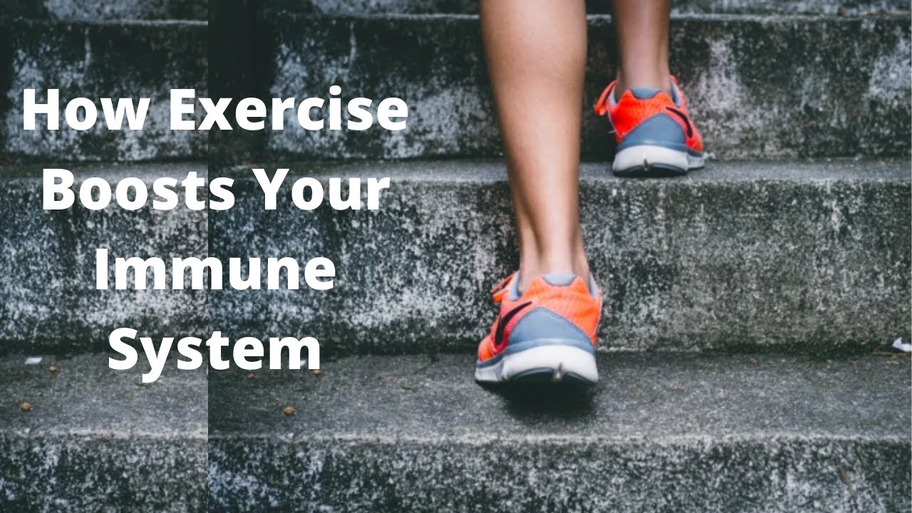 How Exercise Boosts Your Immune System - YouTube