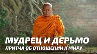 Мифы и притчи - Мудрец и дерьмо / Притча об отношении к миру