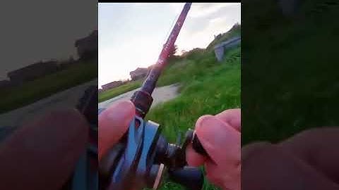 1 đường câu duy nhất #shorts