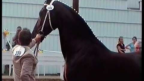 Ritida (1998, v. Majesteit),  Shelbyville (Kentucky-USA)