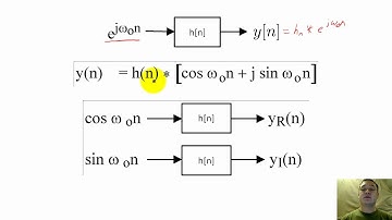 17 - Complex valued filters and signals