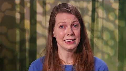 Lesson 8   R data frames