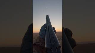 Невероятный выстрел! Дуплет по гусям (Слоу-мо)