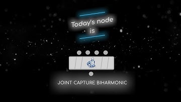 Mardini 2024 | Day 19 | Joint Capture Biharmonic