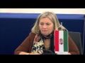 Morvai kiállt a meghurcolt székely vármegyésekért az Európai Parlamentben