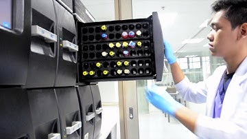 Hi-Precision Diagnostics Corporate AVP