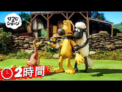 シャウンとひよこたち 🐑🐤✨🐶「ひつじのショーン シーズン3