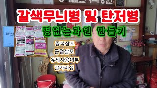 갈색무늬병 및 탄저병 방제 약제선정 과 약해
