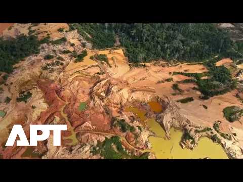 Video Illegal Miners Extract Billions in Amazon Gold Despite Brazil Crackdown, Greenpeace Reveals | APT