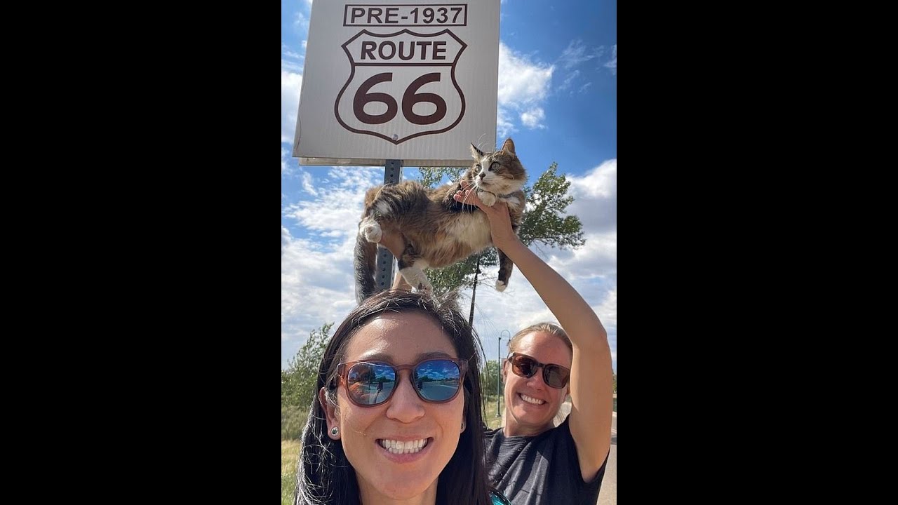 COFFEE TIME! Court News Special, Dog Bites Horse, Expensive Lights