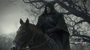 The Witcher 3 -  HD1080p60 - Blindingly Obvious