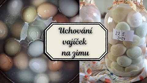 Jak uchovat domácí vajíčka na zimu ?