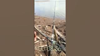 MANCING IKAN DANAU PART 4 #fishing #spotrawarawa #carpfishing #fish #fisherman #bassfishing