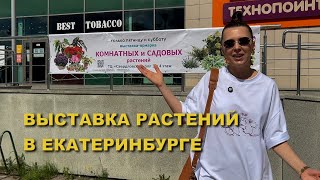 видео: Как проходит ВЫСТАВКА в ЕКАТЕРИНБУРГЕ/ есть ли в ПРОДАЖЕ ПОПУЛЯРНЫЕ РАСТЕНИЯ? картинка: Как проходит ВЫСТАВКА в ЕКАТЕРИНБУРГЕ/ есть ли в ПРОДАЖЕ ПОПУЛЯРНЫЕ РАСТЕНИЯ?