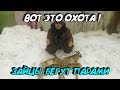 ОХОТА НА ЗАЙЦА. ЗАЙЦЫ СОШЛИ С УМА. 16 ШТУК ДО ОБЕДА. УСТРОИЛИ ОБЛАВУ. ОХОТА 2020. ОЧЕНЬ МНОГО ЗАЙЦА.