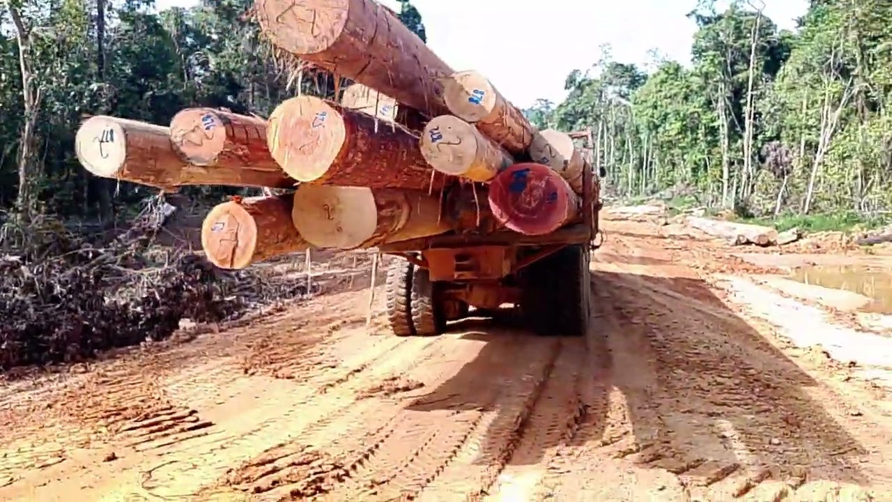 NISSAN DIESEL KEPALA LORI RG ENJIN LORI RE10 V10 LORI LOGGING NOMBOR 10 MUATAN KAYU BALAK 