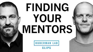 How to Find Mentors | Tim Ferriss & Dr. Andrew Huberman