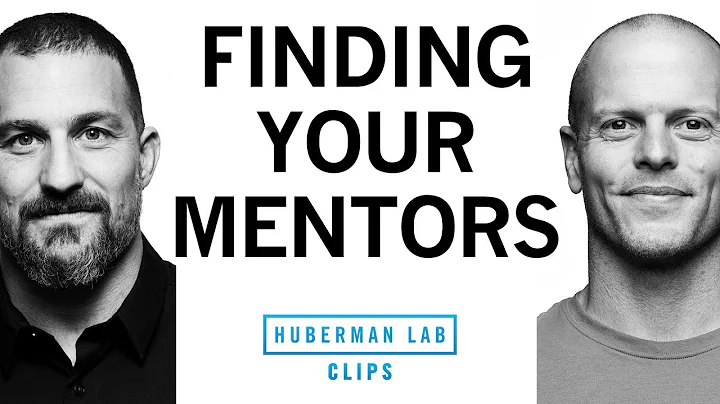 How to Find Mentors | Tim Ferriss & Dr. Andrew Huberman