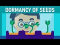 Dormancy: The Sleeping Seed