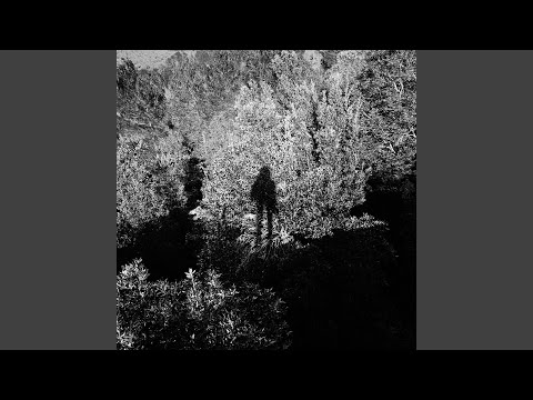 Panoram — Dead Plastic