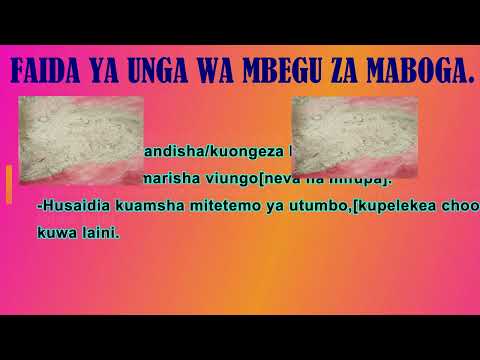 UNGA WA MBEGU ZA MABOGA NI DAWA KWA AJILI YA KINGA ZA MWILI WAKO Tazama Hii