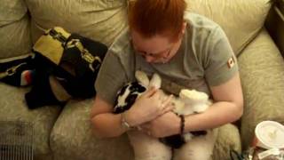 How to flip a bunny