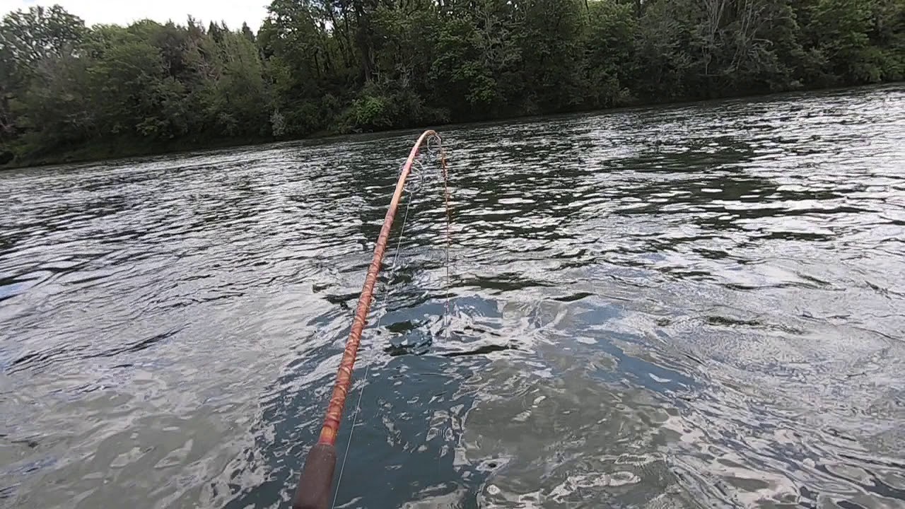 Shad fishing on the Umpqua River below Elkton and having a real fun time doing it.. - YouTube