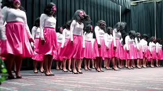 AKA Fall 2017 Probate | Black Swan Creative