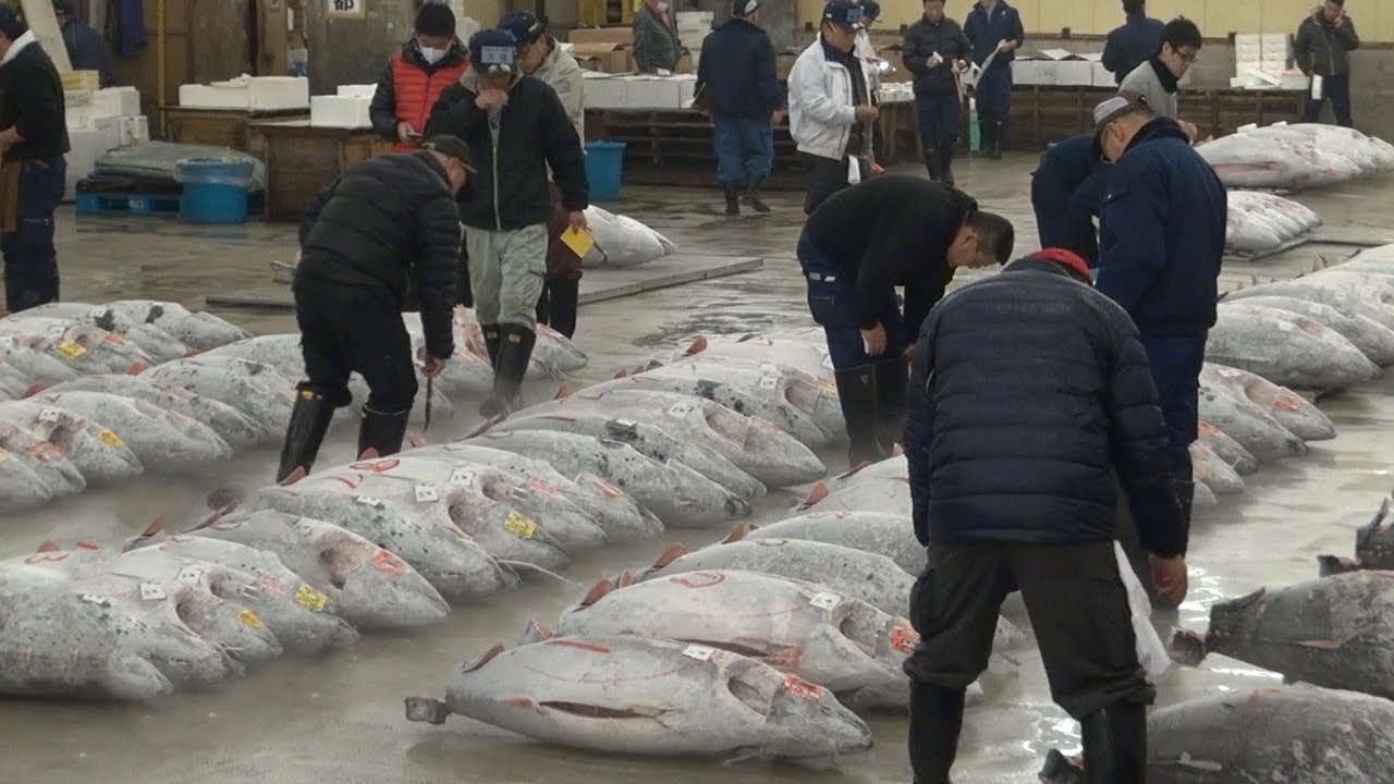 tsukiji market pantip  2022  Tsukiji Fish Market Guide: Tuna Auction and Breakfast Odyssey