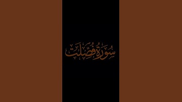 #المنشاوي #قران_كريم #المصحف #تلاوة_خاشعة #يوسف_ايمن_قران #تلاوة_هادئة #foryou