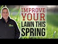 How to renovate your lawn after winter
