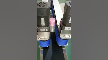 Bottle gripping transfer conveyor