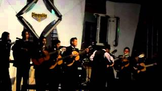 Video thumbnail of "Llegaste a mi vida_Rondalla Ilusión Romántica de Tenería en Tepetzintla,Ver."