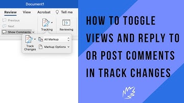 MS Word Track Changes Tutorial: How to Toggle Views and Reply to or Post Comments in Track Changes