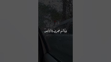 تلاوة جميلة من سورة الشورى