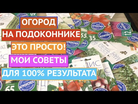 Видео: Садоводство на подоконнике для начинающих – Советы по созданию сада на подоконнике