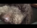 Beginning of video