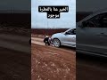 لولا الحج مسعود كان صار كارثة  ضحك   دويتو  تيك توك