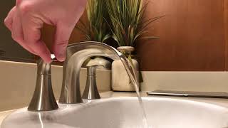 Product Review: Pfister Brea Faucet